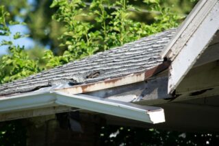 Gutters and Home Insurance