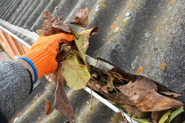 gutter maintenance melbourne FL