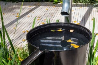 rain water harvesting from gutters