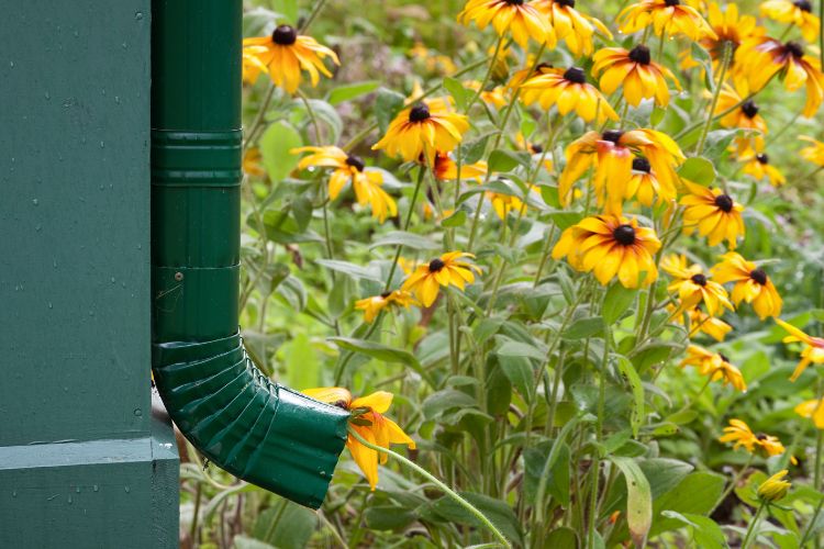 Gutters and Landscaping: How to Protect Your Garden - Superior Soffit ...